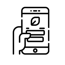 Professional Websites